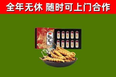 会理回收冬虫夏草价格